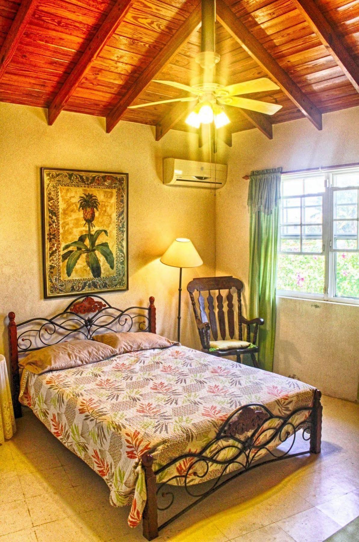 Gemini House Bed & Breakfast Christ Church Buitenkant foto