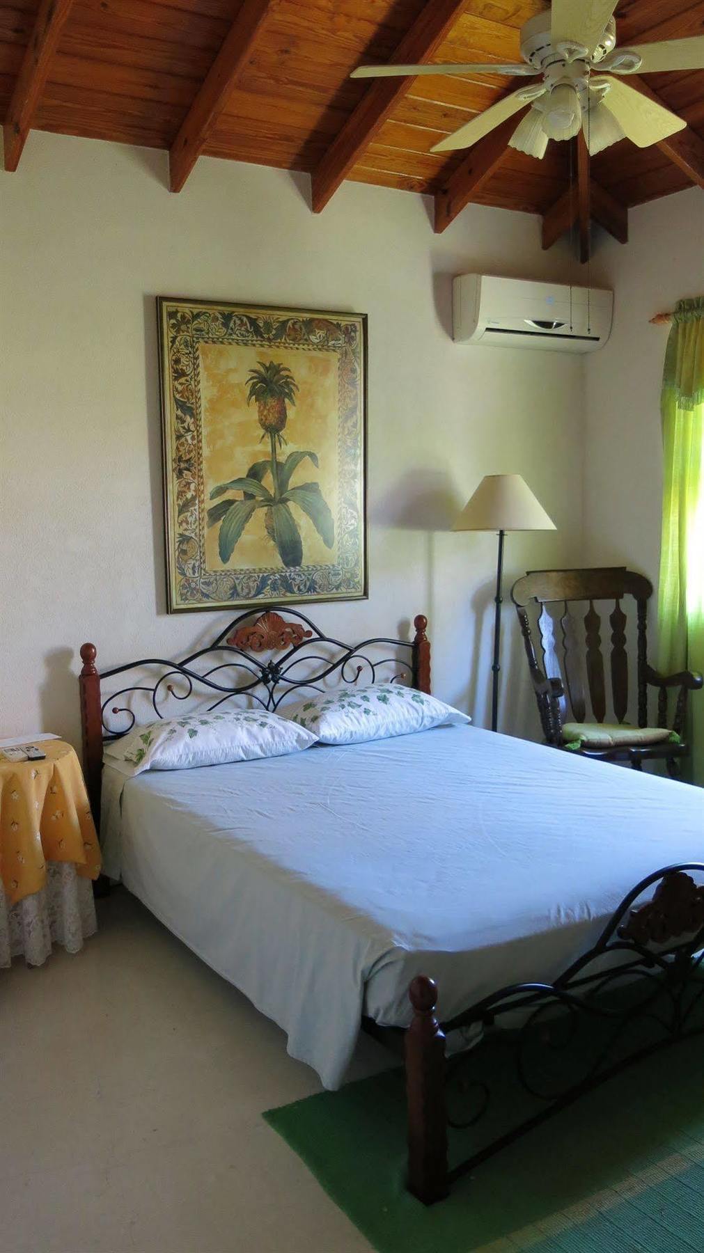 Gemini House Bed & Breakfast Christ Church Buitenkant foto